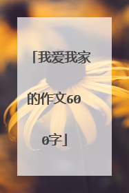 我爱我家的作文600字