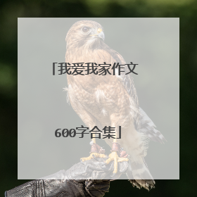 我爱我家作文600字合集