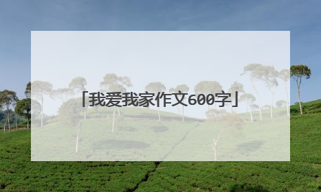 我爱我家作文600字