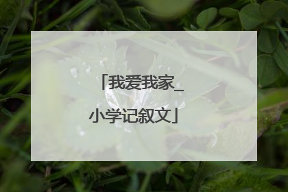 我爱我家_小学记叙文