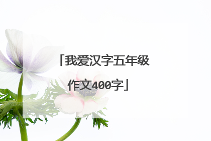 我爱汉字五年级作文400字