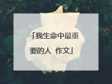 我生命中最重要的人 作文