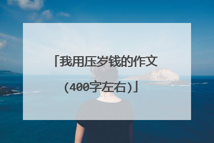 我用压岁钱的作文(400字左右)