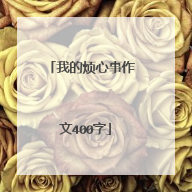 我的烦心事作文400字