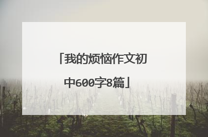 我的烦恼作文初中600字8篇