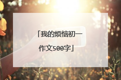 我的烦恼初一作文500字