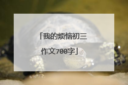 我的烦恼初三作文700字