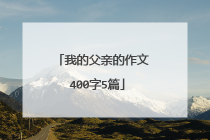 我的父亲的作文400字5篇