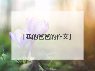 我的爸爸的作文