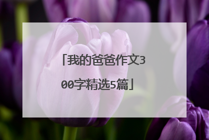 我的爸爸作文300字精选5篇