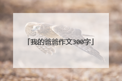 我的爸爸作文300字