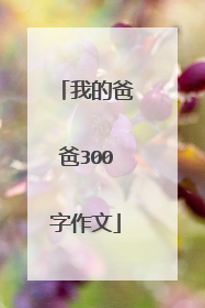 我的爸爸300字作文