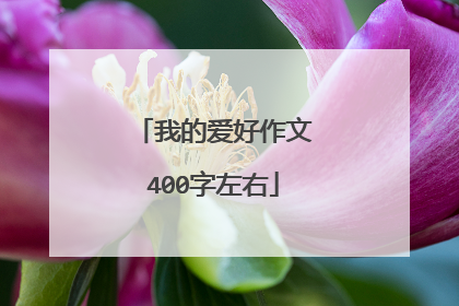 我的爱好作文400字左右