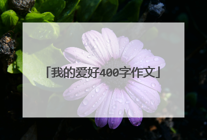 我的爱好400字作文