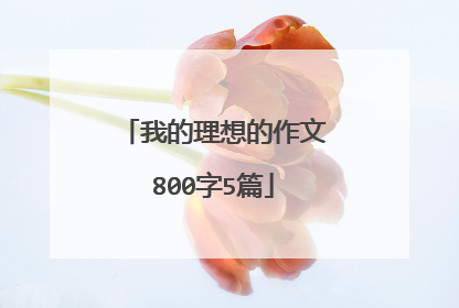 我的理想的作文800字5篇