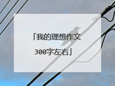 我的理想作文300字左右
