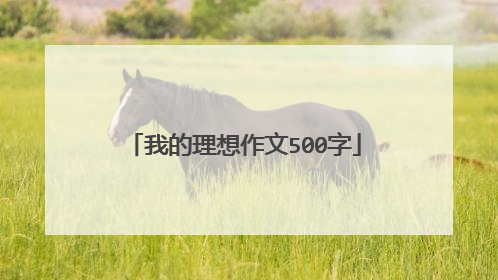 我的理想作文500字