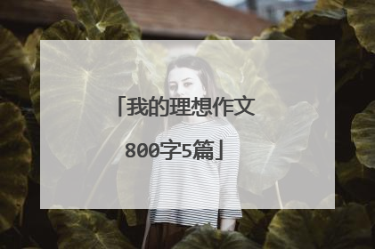 我的理想作文800字5篇