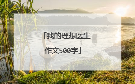 我的理想医生作文500字