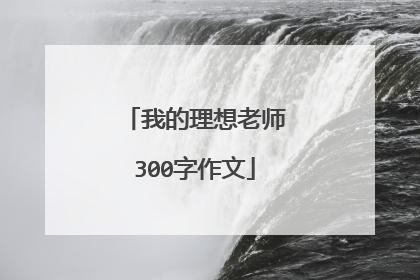 我的理想老师300字作文