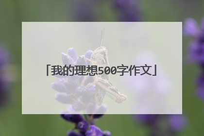 我的理想500字作文