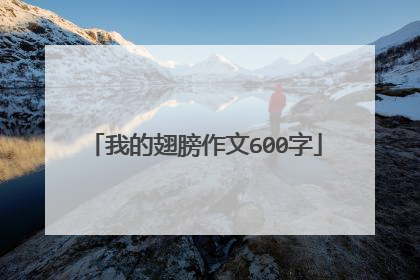 我的翅膀作文600字