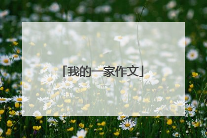 我的一家作文