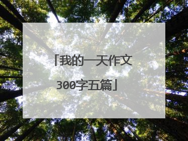 我的一天作文300字五篇