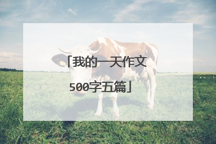 我的一天作文500字五篇