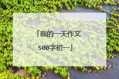 我的一天作文500字初一
