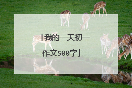 我的一天初一作文500字