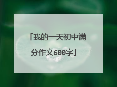 我的一天初中满分作文600字