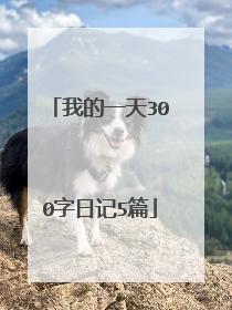 我的一天300字日记5篇