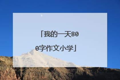 我的一天800字作文小学