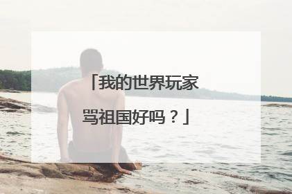 我的世界玩家骂祖国好吗?