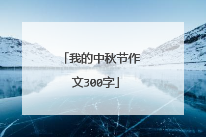 我的中秋节作文300字