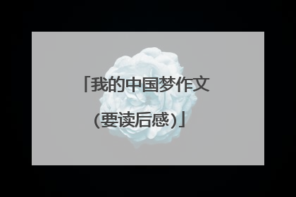 我的中国梦作文(要读后感)