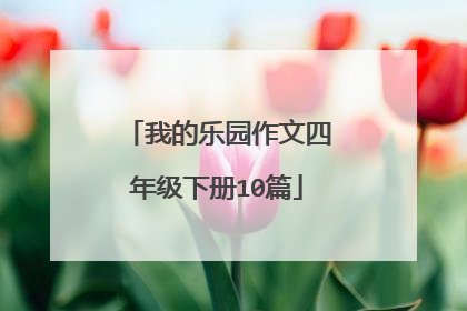我的乐园作文四年级下册10篇