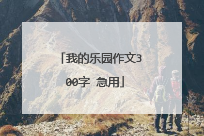 我的乐园作文300字 急用