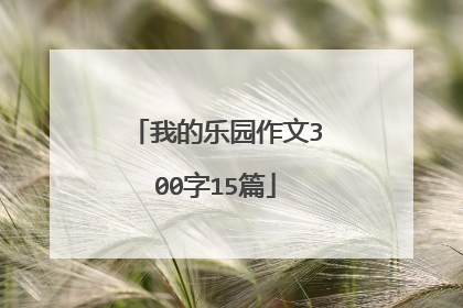 我的乐园作文300字15篇