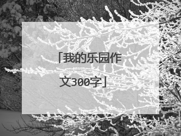 我的乐园作文300字