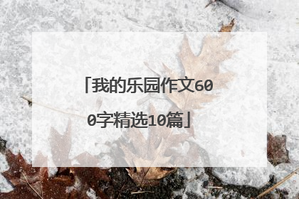 我的乐园作文600字精选10篇