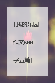 我的乐园作文600字五篇
