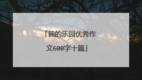 我的乐园优秀作文600字十篇