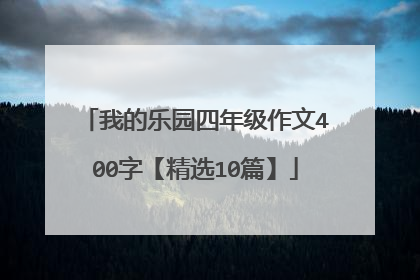 我的乐园四年级作文400字【精选10篇】