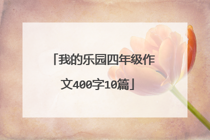 我的乐园四年级作文400字10篇