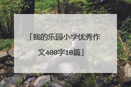 我的乐园小学优秀作文400字10篇