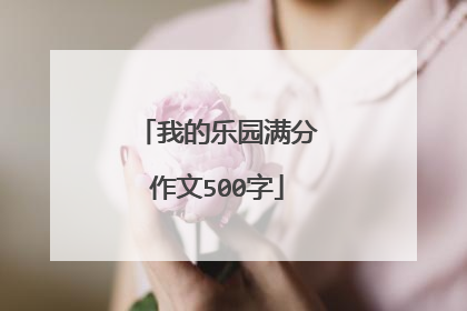 我的乐园满分作文500字