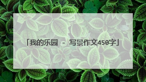 我的乐园 - 写景作文450字