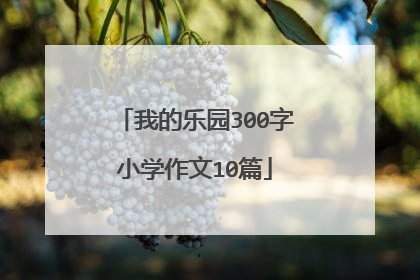 我的乐园300字小学作文10篇